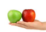 Hand holding green and red apples