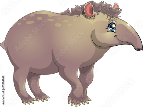 tapir