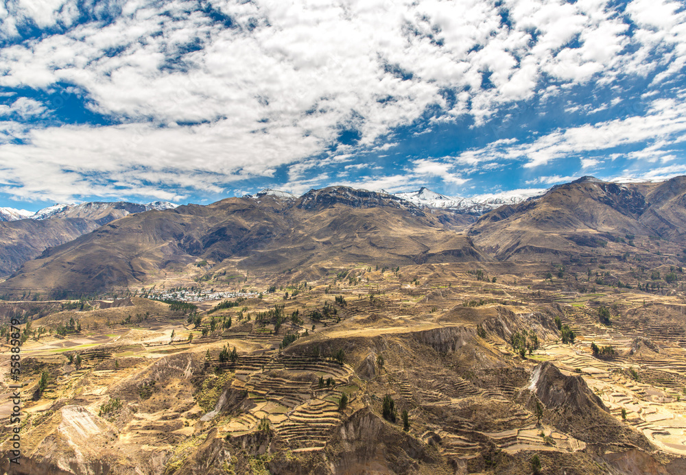 Colca Canyon, Peru,South America. Incas build Farming terrace
