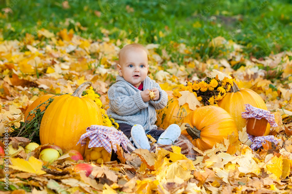 Child in knitted sweater sits among pumpkins in autumn park