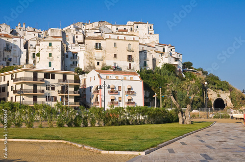Panoramic view of Rodi Garganico. Puglia. Italy.