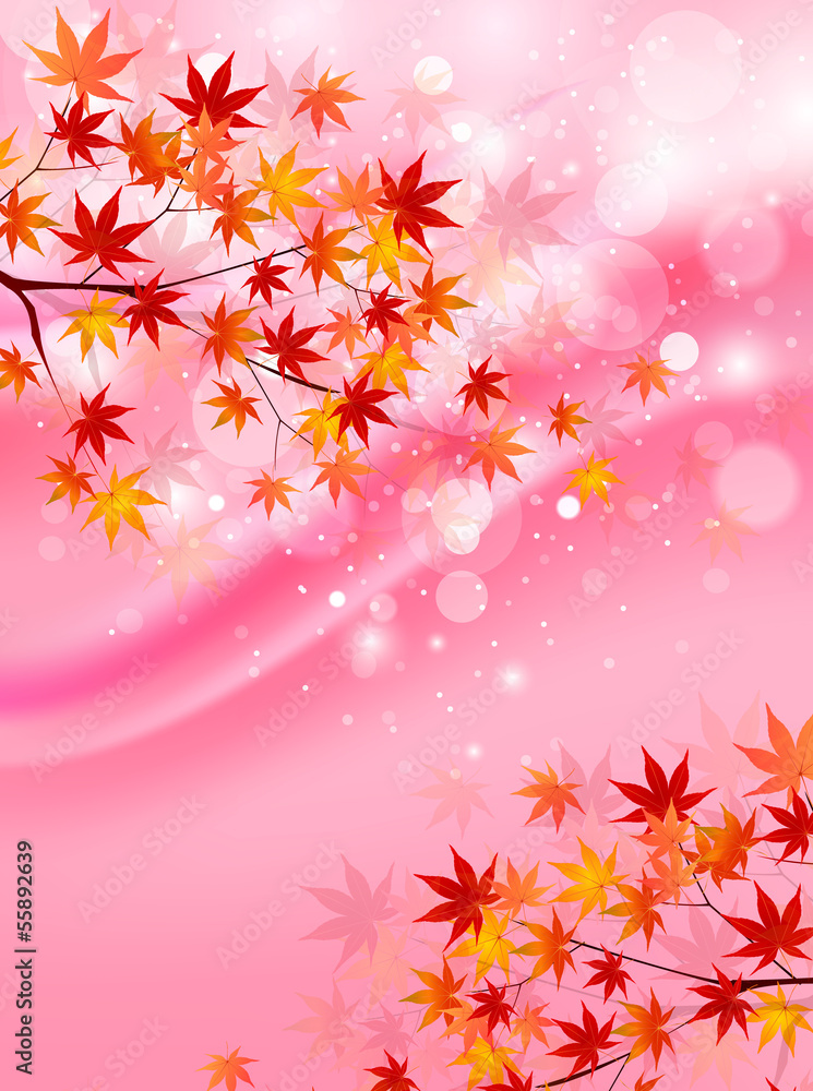 Fototapeta premium もみじ 紅葉 背景