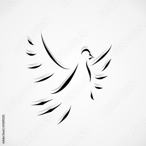 dove icon vector