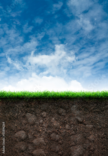 Soil with Grass in Blue Sky