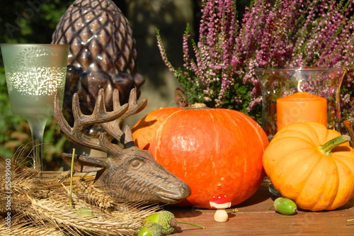 Arrangement mit Hirschkopf