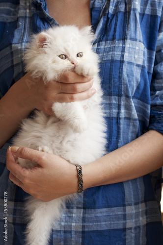 Girl holding white Persian kitten