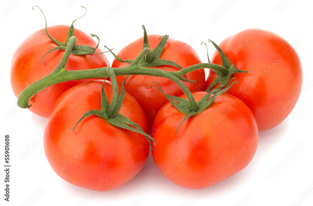Tomato vegetables isolated on white background Tomato vegetables isolated on white background