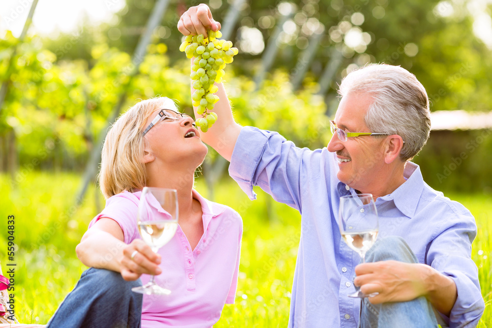 Fototapeta premium Happy seniors having picnic drinking wine