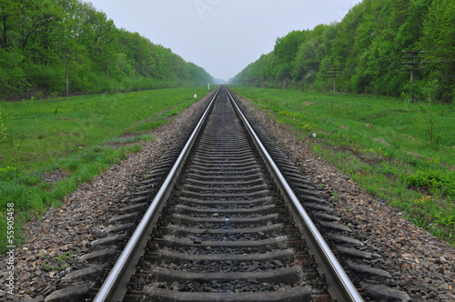 Railway in surroundings a green-leaf