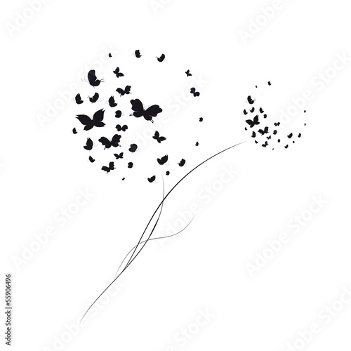 butterflies design