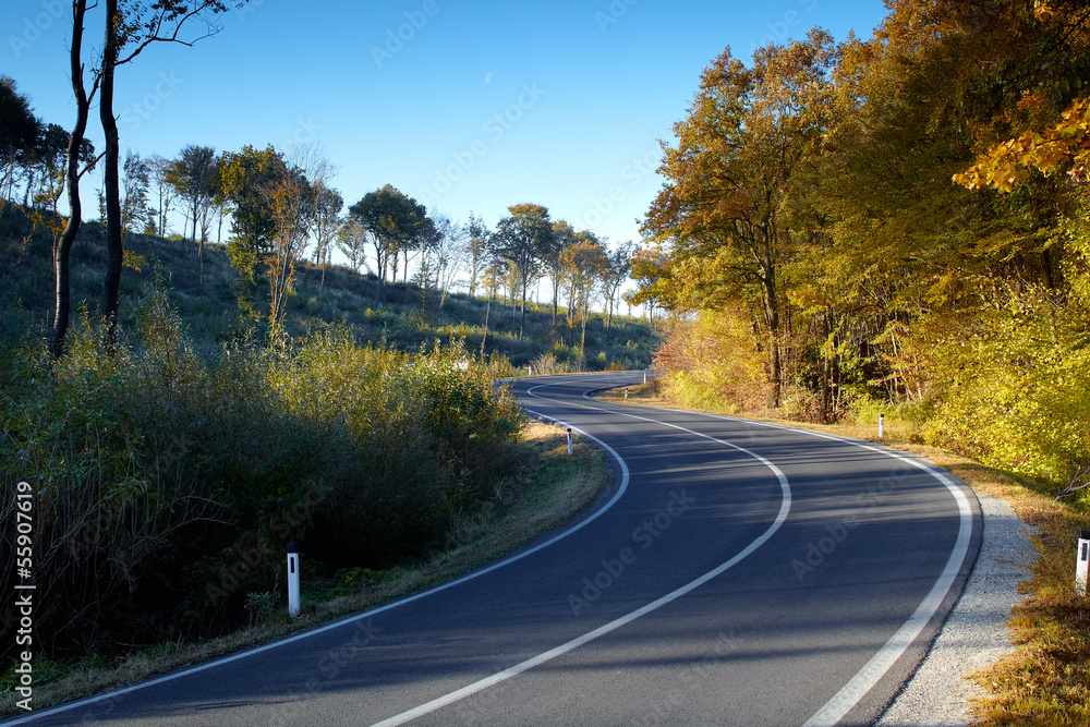 Fototapeta premium lonesome road in autumn