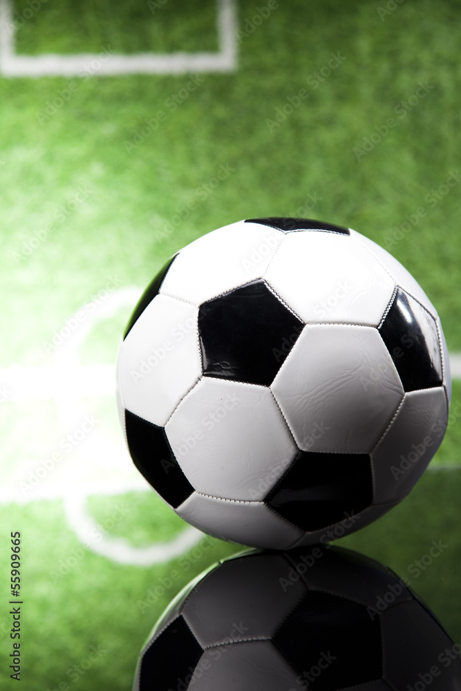 Fototapeta premium Soccer ball