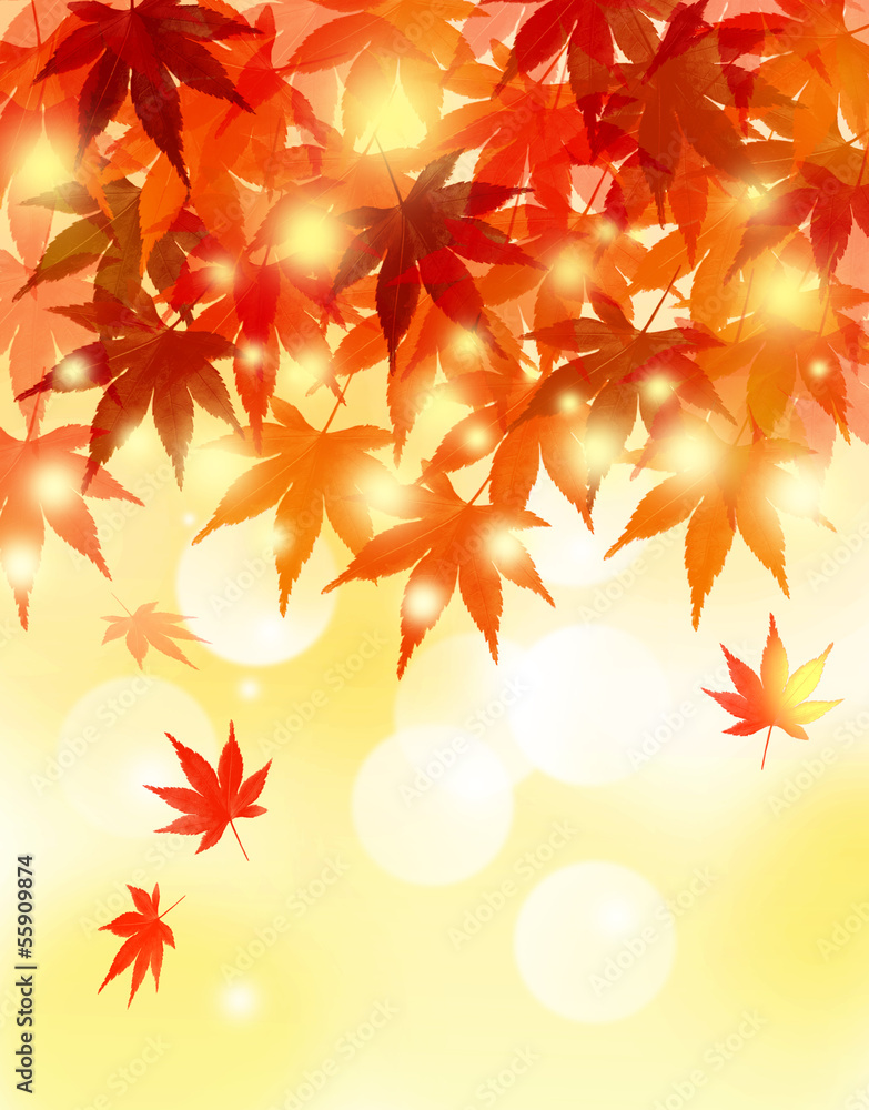 紅葉狩り 紅葉狩り