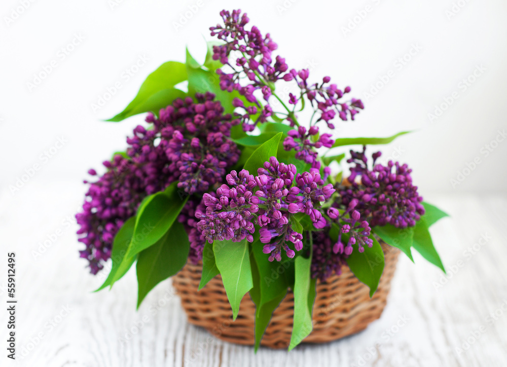 Bouquet of a lilac Bouquet of a lilac