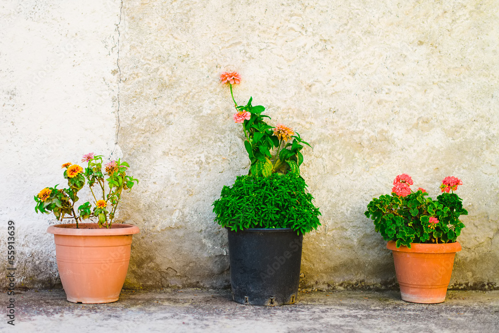 Three flowerpots outdoor