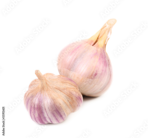 Two garlics.