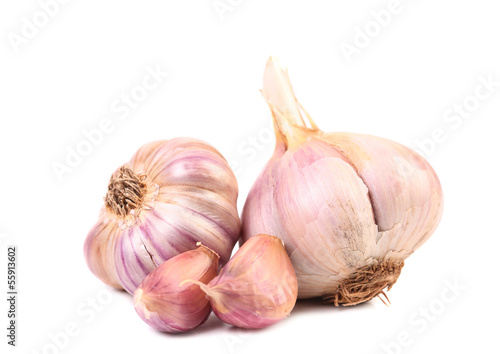 Garlics and cloves isolated on white background