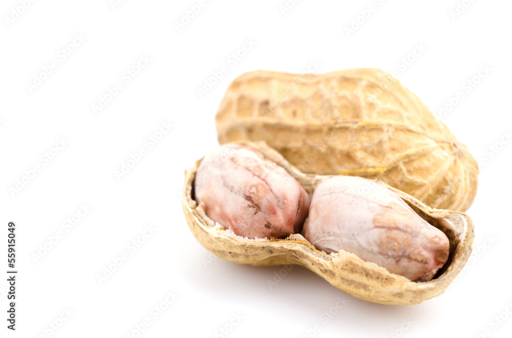 Peanut Peanut