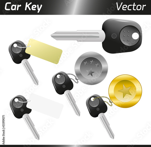 Vectorial car keys with keyholder and tag isolated on white background