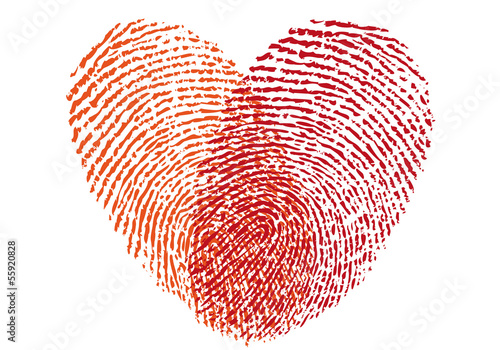 red fingerprint heart, vector photo