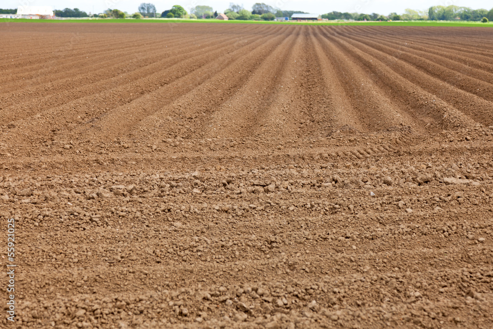 Plowed field Plowed field