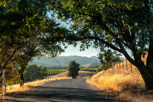 Road trip through Sonoma wine country at harvest time photo