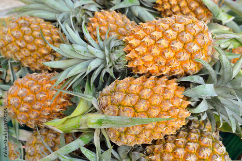 pineapples