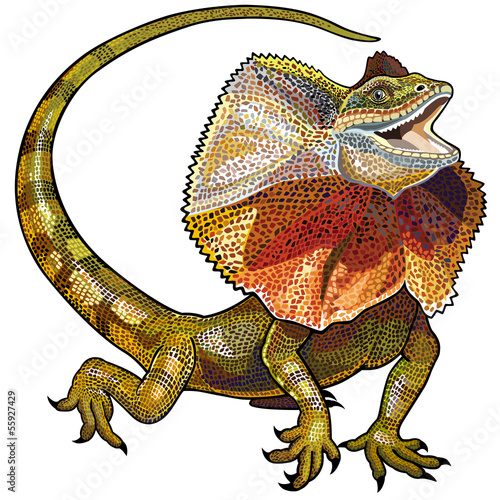 frill necked lizard