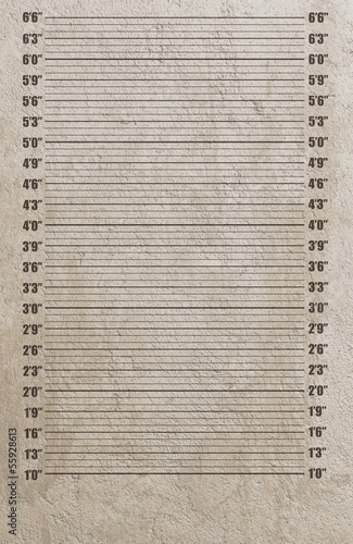 Canvastavla Police mugshot background