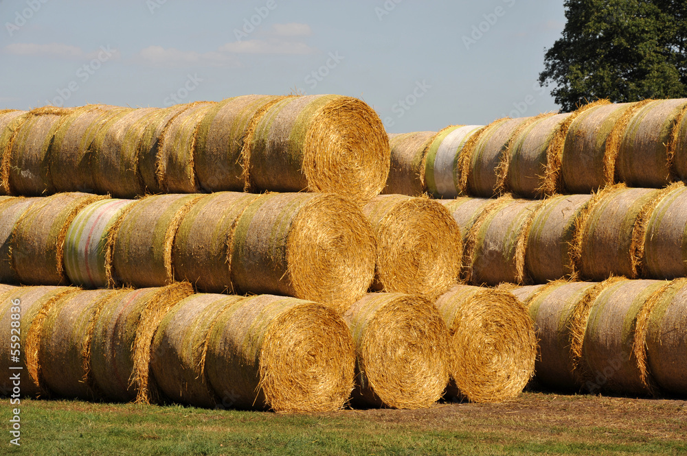 Strohrollen, Strohballen, Ernte, Landwirtschaft, Feld, Bauernhof Strohrollen, Strohballen, Ernte, Landwirtschaft, Feld, Bauernhof