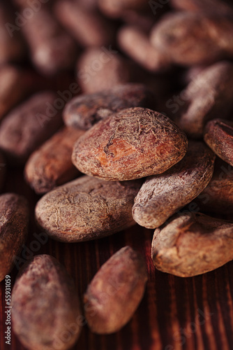 roasted cocoa beans macro background