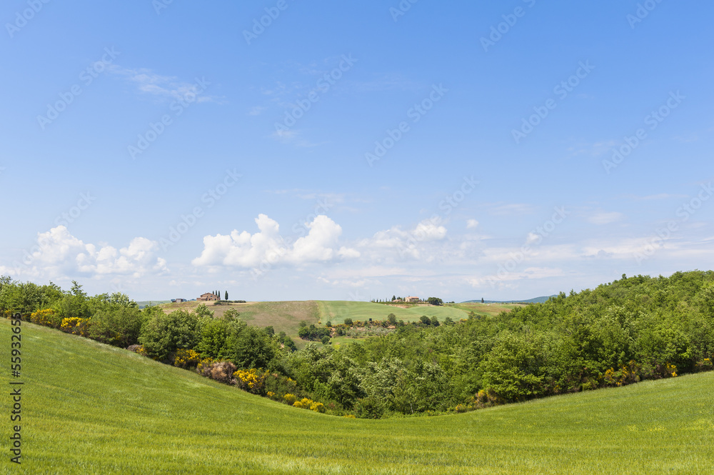 Rolling hills of Tuscany Italy