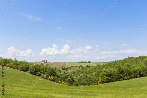 Rolling hills of Tuscany Italy