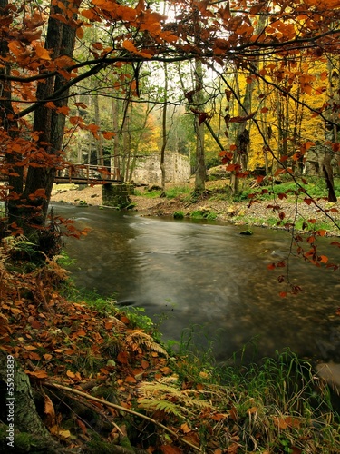 Autumn landscape, colorful leaves on trees, morning at river © rdonar