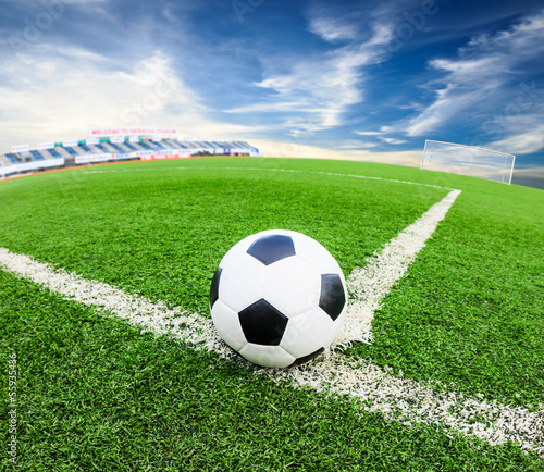 soccer ball on green grass field © tungphoto