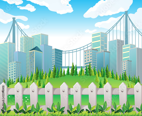 A hill with many pine trees near the tall buildings