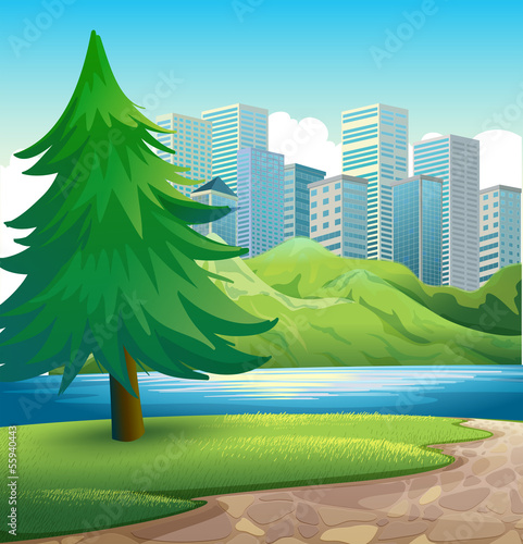 A pine tree beside the river across the tall buildings