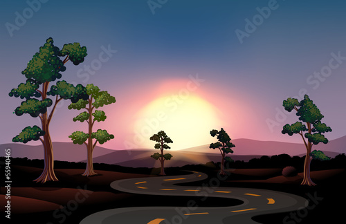 A long and winding road going to the forest