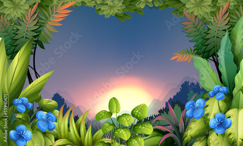 An early morning view at the forest