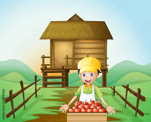 A farmer harvesting apples