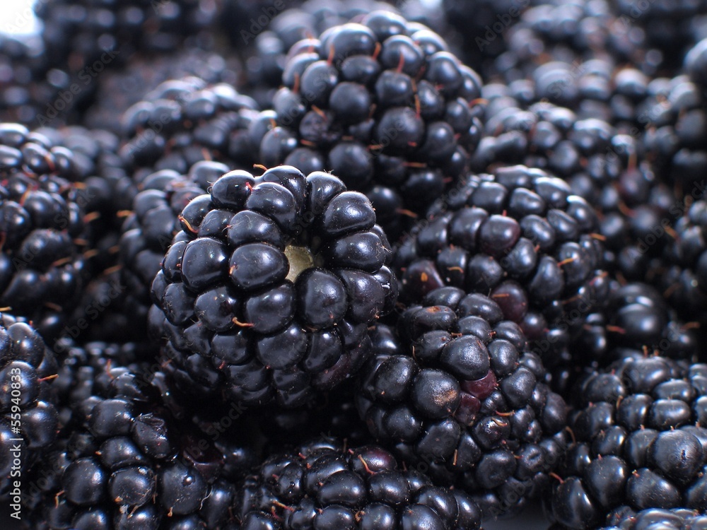 Blackberries Blackberries