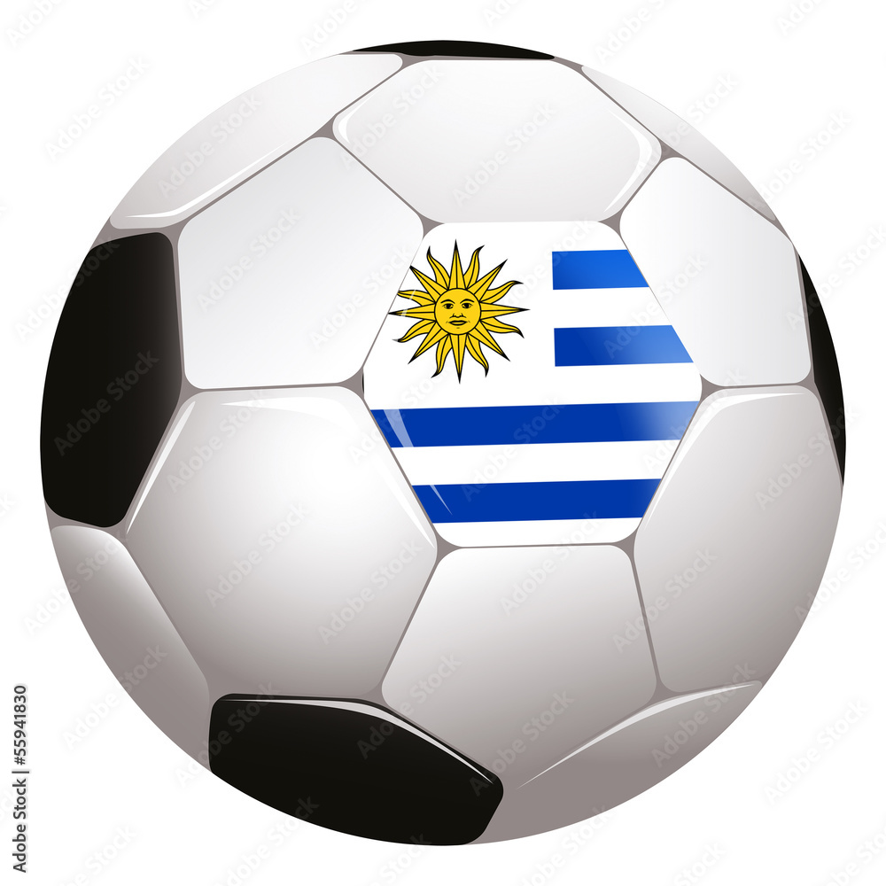 Fototapeta premium World Cup football