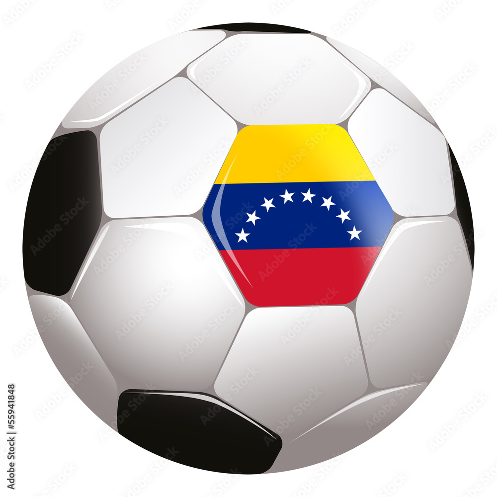 Fototapeta premium World Cup football