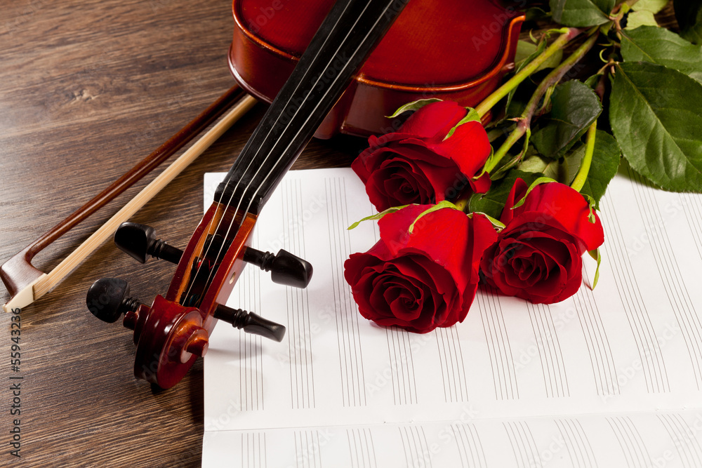 Fototapeta premium Red roses and a violin