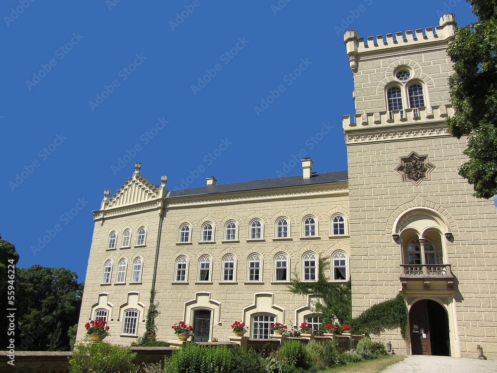 Fototapeta premium chesy