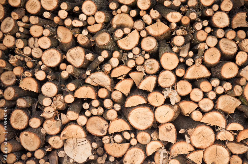 Wood background Wood background
