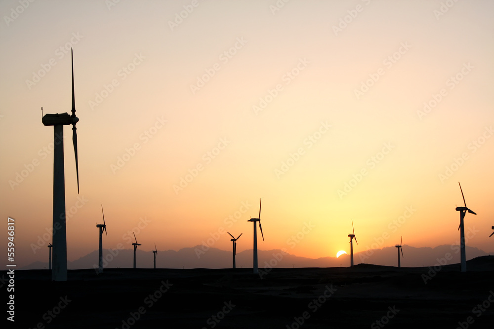 Obraz premium Wind farm after sunset