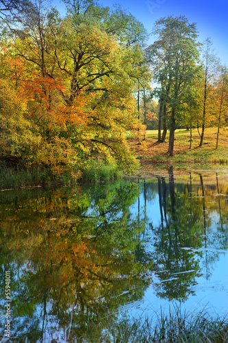 The bright autumn wood is reflected in the lake