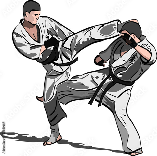 Karate fight