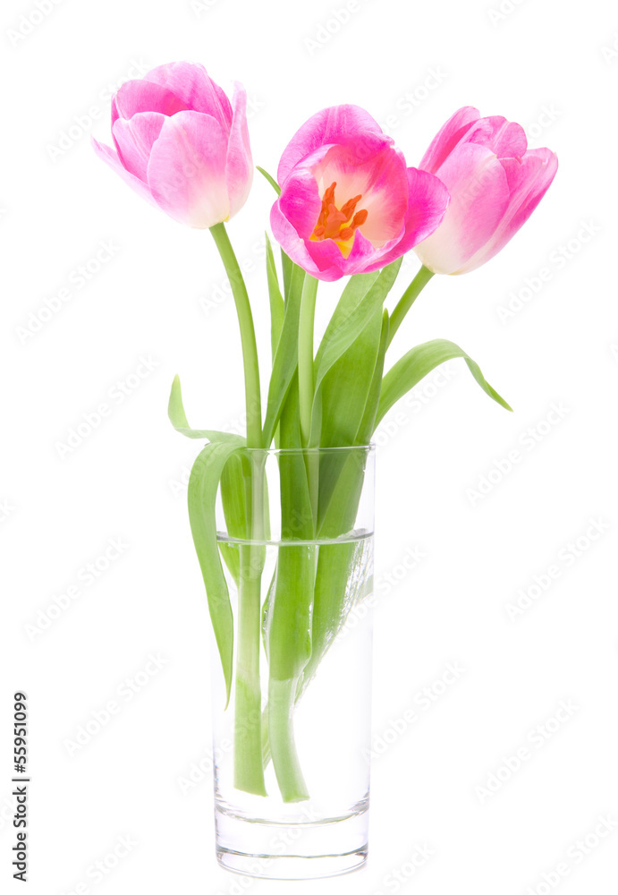 Pink tulips bouquet in vase isolated on white background Pink tulips bouquet in vase isolated on white background